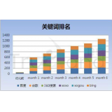 禹城如何防止SEO关键词排名下降